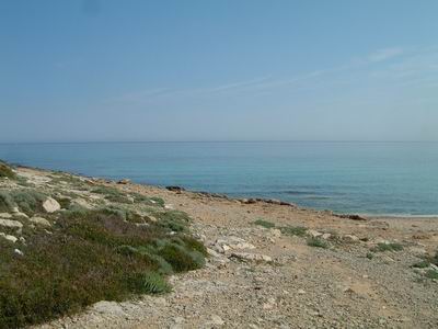 DSCF0060.JPG